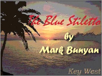 The Blue Stiletto book cover